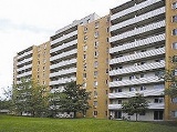Wonderland 931 Front